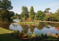 garden design