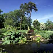 Large informal garden, Berkshire