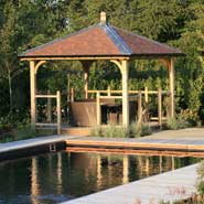 Natural Looking swimming pool