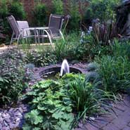 Small courtyard garden