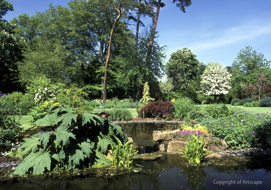 Large garden with lake