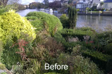 riverside garden - before