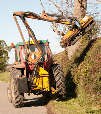 hedge cutting