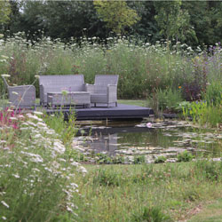 Wildflower Meadow and Wildlife Pond