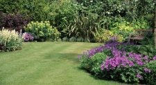 professional garden planting berkshire