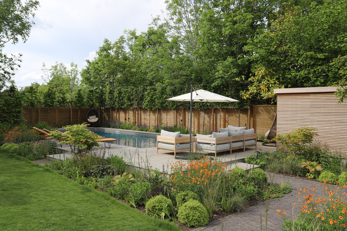 Contemporary garden with swimming pool