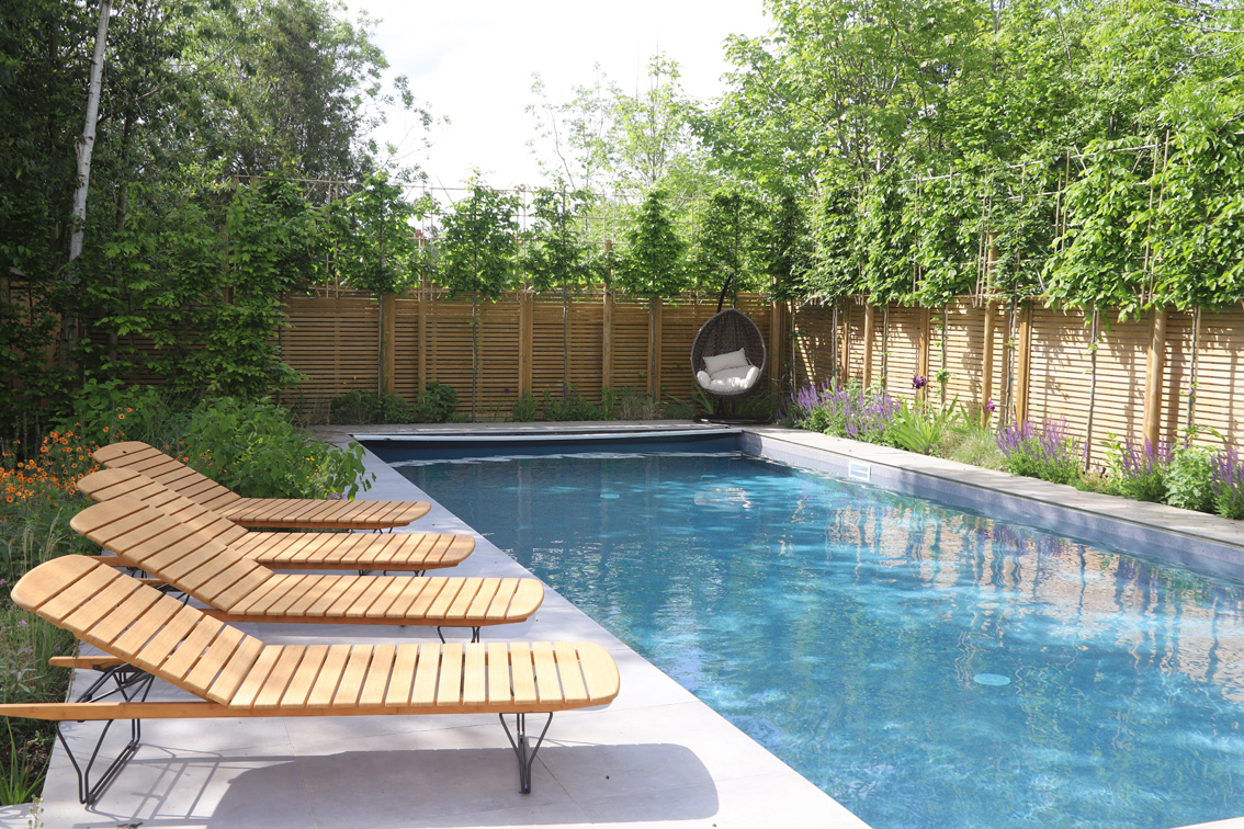 Contemporary garden with swimming pool