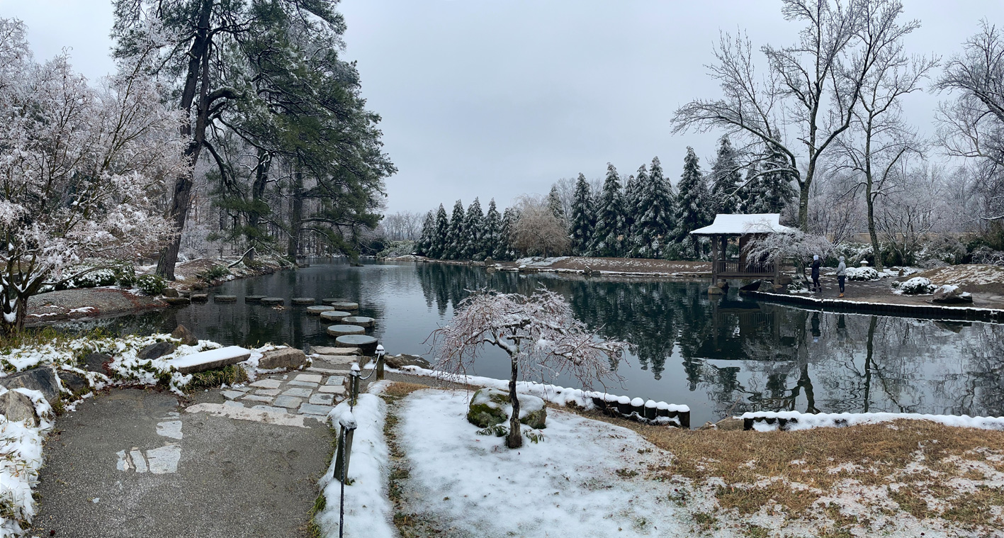 garden-planting-in-winter